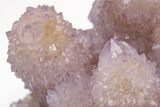 Large, Cactus Quartz (Amethyst) Crystal Cluster - South Africa #206118-5